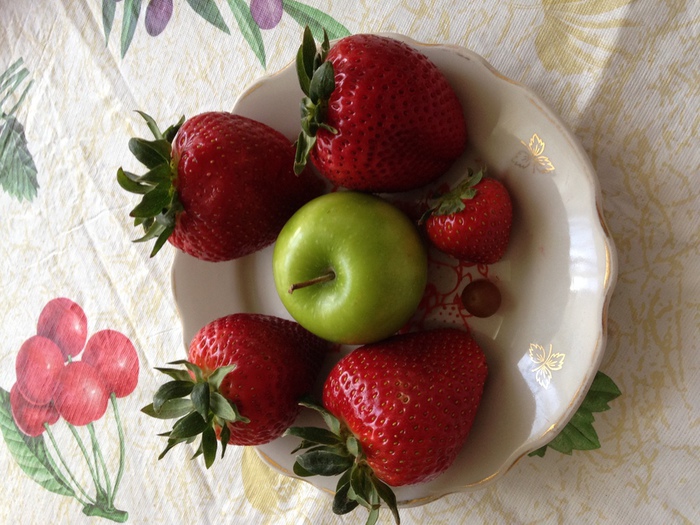 IMG_0218 (700x525, 170Kb)