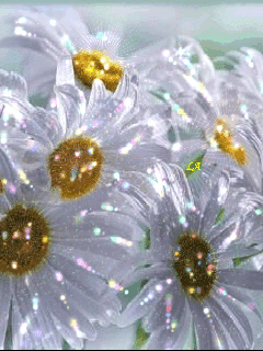 283 (240x320, 598Kb)