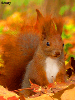 1078264 (240x320, 422Kb)