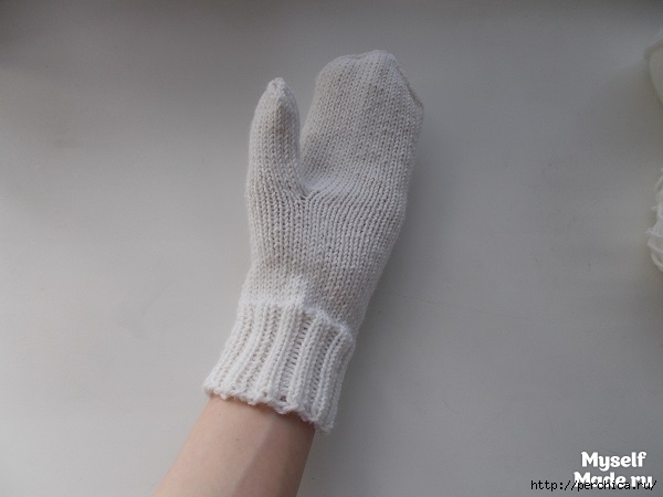 DSCN1939 (600x450, 101Kb)