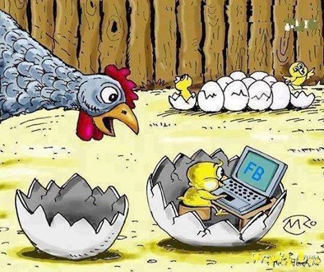 image (470x395, 94Kb)