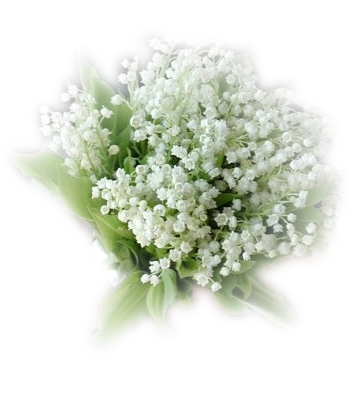 sh7u6ytn (350x393, 205Kb)