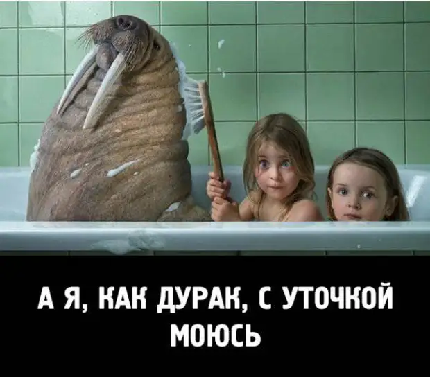 Идет бомж по помойкам академгородка. Видит - женщина голая лежит...