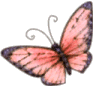f13b1ea2c338db5bfd33bf8d4728b49c.gif f13b1ea2c338db5bfd33bf8d4728b49c.gif