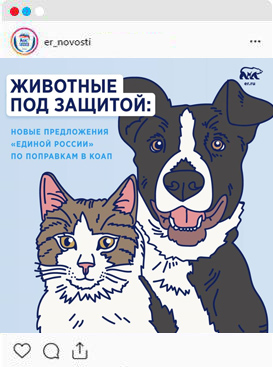 Животные под защитой: новые
предложения «Единой России» по
поправкам в КОАП
