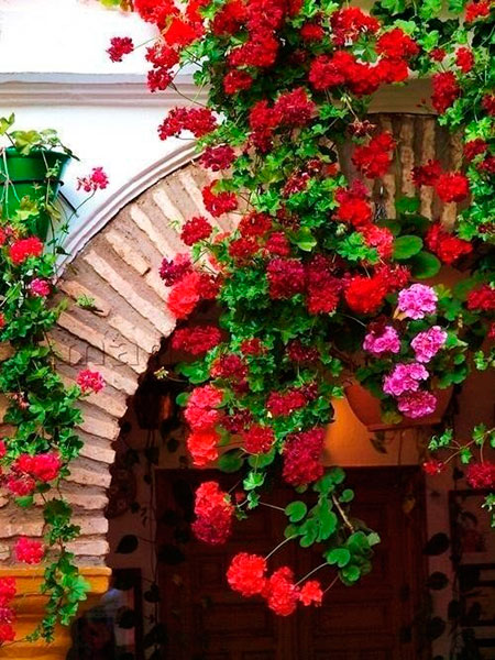 untitled (450x600, 638Kb)