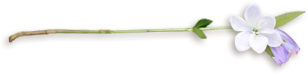 121504900_4083308_99956696_24465812 (1) (308x75, 23Kb)